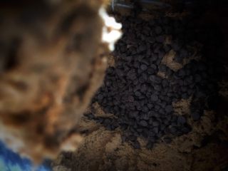 7、百变水果#巧克力橙味饼干#,搅拌均匀