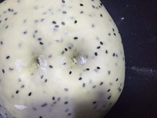 4、黑芝麻椰蓉面包棒,将揉好的面团拿出来，滚圆放在一个容器里面，盖上湿布或者是保鲜膜，将面团放在温暖处进行发酵至2.5倍大，用手指沾面粉戳个洞，如果没有回缩下塌那么表示已经发好了