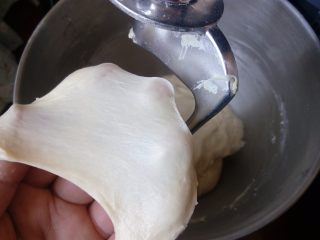 3、椰蓉花环面包,启动揉面程序，揉至可以拉出大片厚膜状态。