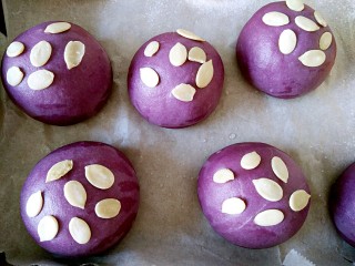 13、最爱面包+紫薯小面包,面包体上刷蛋液或清水,我是清水哈,再撒适量坚果,芝麻也可以