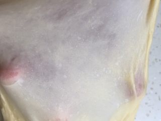 3、龙猫挤挤面包,揉至出手套膜，时间大约二十五分钟