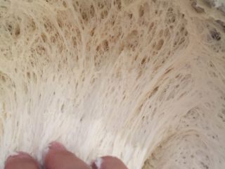 9、大白馒头,扯开有蜂窝状组织即发酵成功