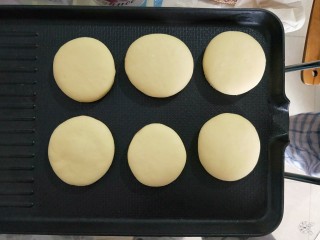 15、养胃山药饼,电饼铛不刷油，不刷油，干烙。最小火烙。一受热饼还会长高，变厚。