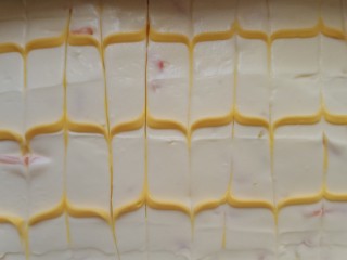 14、柠檬柚子乳酪条,然后用牙签在表面划出纹路，怎么划都可以，看自己喜好。