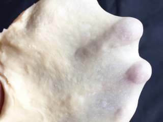 8、巧克力味肉松蛋糕吐司,手套膜出现。