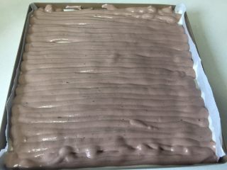 8、可可旋风瑞士卷(后蛋法),裱花袋剪一个小口,可可蛋糕糊来回画“一”字均匀的挤在原味蛋糕糊上。