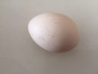 2、紫薯大列巴,这个鸡蛋很大，双黄，86g，如果亲的鸡蛋小可用二个，适当减一点奶哦