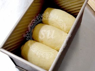 21、超详细步骤教你直接法无敌松软全麦肉松吐司,卷好的吐司卷放入吐司盒中，请注意，保证每个吐司卷的收口朝向一致