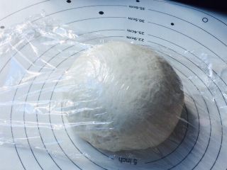 9、椰蓉面包,盖上保鲜膜,室温发酵一倍大即可,夏天温度高(发酵时间看面团状态)