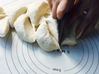 12、椰蓉面包,切成同等份的小剂子(没有手握分量可用称进行分剂)