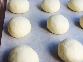13、椰蓉面包,分好同等剂子,逐个滚圆(手心握团,用掌心来回转即可成圆),放至烤盘内(垫油纸)进行第二次发酵!发酵一倍大即可