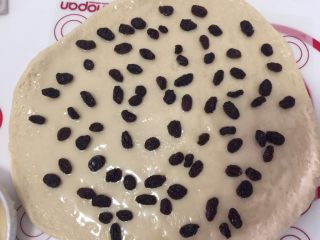 12、口袋面包仔,铺上葡萄干