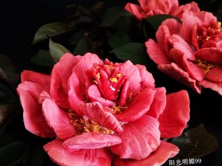 20、国色天香立体饼干,庭前芍药妖无格,