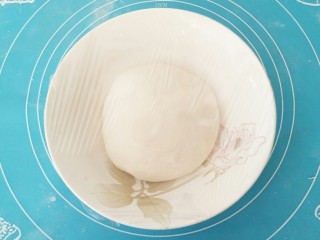 3、中种吐司,发酵完成的面团双倍大。