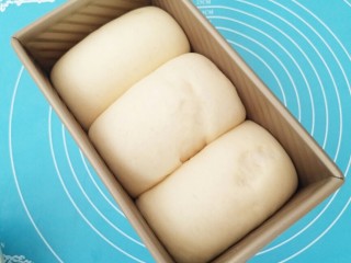 11、中种吐司,盖上保鲜膜，温暖处发酵9分满，擀面团的时候幹反了，所以表面略有不光滑。