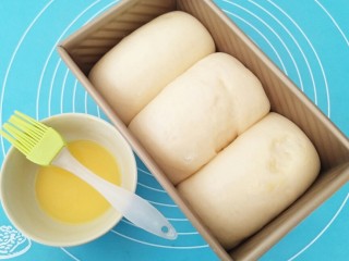 12、中种吐司,表面刷一层薄薄的蛋液。