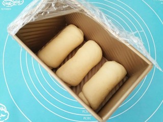 10、中种吐司,摆放土司盒内。