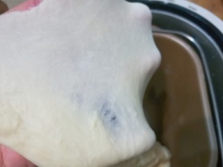 3、老面核桃软欧,揉面至这种完全扩展状态即好；