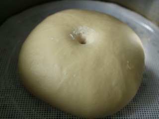 7、≈蔓越莓酸奶小方面包≈,发酵至2倍大