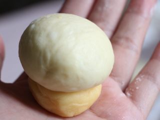 11、菠萝包,一手拿滚圆稍压扁的酥皮，将面团稍用力压在酥皮上。