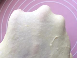 5、中种香蕉土司,能拉出大片薄膜，即可停止揉面；