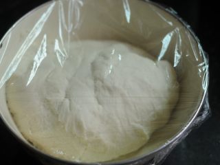 4、巧克力双色卷,将面团取出来，放入盆里，盖上保鲜膜发酵