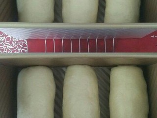 10、蜜豆椰蓉吐司,放入吐司模具，置烤箱二次发酵