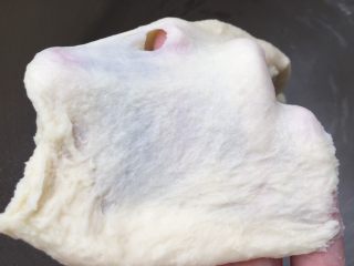 5、抹茶双色梅花吐司（波兰种）,厨师机搅拌约8分钟，至可以拉出粗糙的膜时