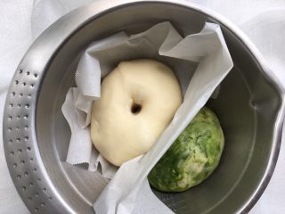 10、抹茶双色梅花吐司（波兰种）,加盖保鲜膜，进行一发