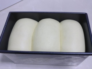 13、原味牛奶吐司,再次发酵至土司盒的八九分满