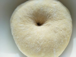 8、金钱小面包,待面团发酵2到2.5即可。