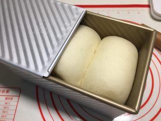 18、基础白吐司（波兰种）,盖上吐司盒盖，烤箱预热180度烤40分钟