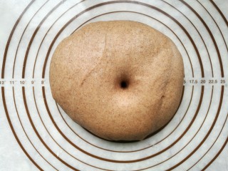 7、全麦土司面包,发酵至2.5倍大