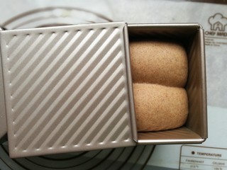 13、全麦土司面包,发酵至八分满