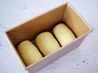 9、绵绵吐司,再依次用擀面杖擀成牛舌状再卷起来,放入吐司模具里盖上保鲜膜进行二发