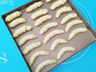 13、鸡蛋小布利,摆放烤盘，醒发20分钟。