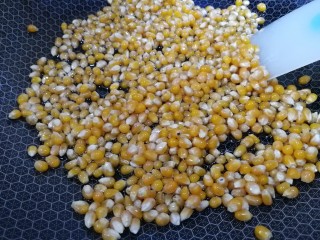 2、焦糖爆米花,锅里倒入玉米油和玉米粒，让每一粒玉米都粘到油。