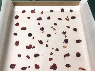 14、蔓越梅蛋糕卷,金盘中铺上烤盘纸,放一些蔓越梅。