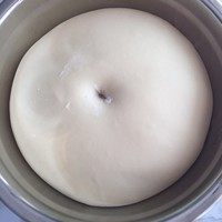 5、肉松手撕面包,放到温暖湿润的地方发酵1小时，我是直接放入烤箱开低温发酵功能，30度。发酵好的面团用蘸满面粉的手指戳一下，不回缩就代表发酵好了。