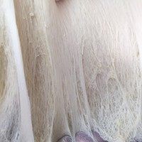 6、肉松手撕面包,当你把一发完毕的面团从盆里拿出来的时候会看到面团里的组织是这样的，这代表发酵完美，面团很有活力，烘烤的时候也会长的比较高。