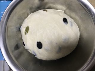 9、葡萄干早餐小面包,盖上保鲜膜开始发面，大约2小时后面团发至一倍大