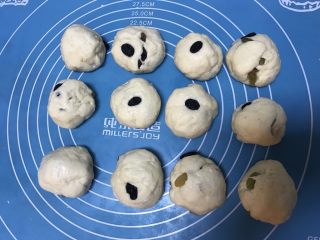 10、葡萄干早餐小面包,把发好的面分成12等份，松弛10分钟后揉成光滑的面团