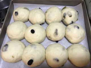 13、葡萄干早餐小面包,面团发至一倍大即可