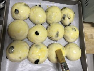 14、葡萄干早餐小面包,在饧发好的面团上均匀的刷一层全蛋液