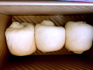 10、羊奶吐司,放入吐司盒中二次发酵。