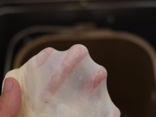 3、日式红豆饼,3.加入10克黄油揉至完全扩展阶段