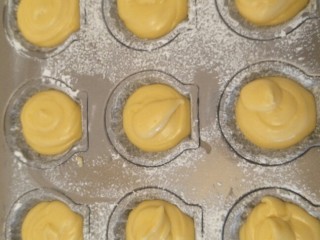 16、柠檬玛德琳蛋糕-入门级蛋糕,冷藏好的面糊放入裱花袋，即用每个小贝壳模具八分满就可以了。