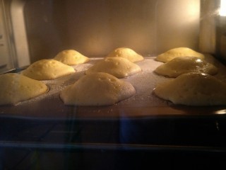 18、柠檬玛德琳蛋糕-入门级蛋糕,像小山一样的隆起来喽。