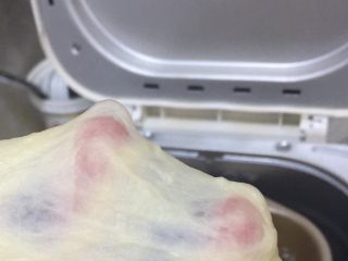 5、蔓越莓椰蓉千层吐司,面团活好后，可以取一小块，用手慢慢抻出光滑有韧性的手套膜就可以了。如果不太好，可以再启动机器揉面