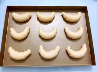 13、牛角面包,放入烤盘